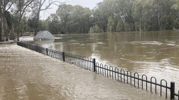 The Murrumbidgee River in flood at Darlington Point in 2022. Picture file