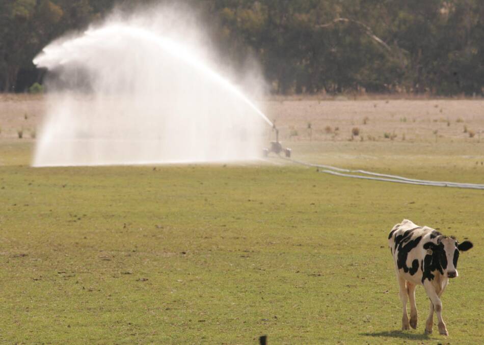 FUTURE IN THE BALANCE: Irrigators in the Riverina are closely watching the fall-out of the Murray-Darling Basin Plan. 