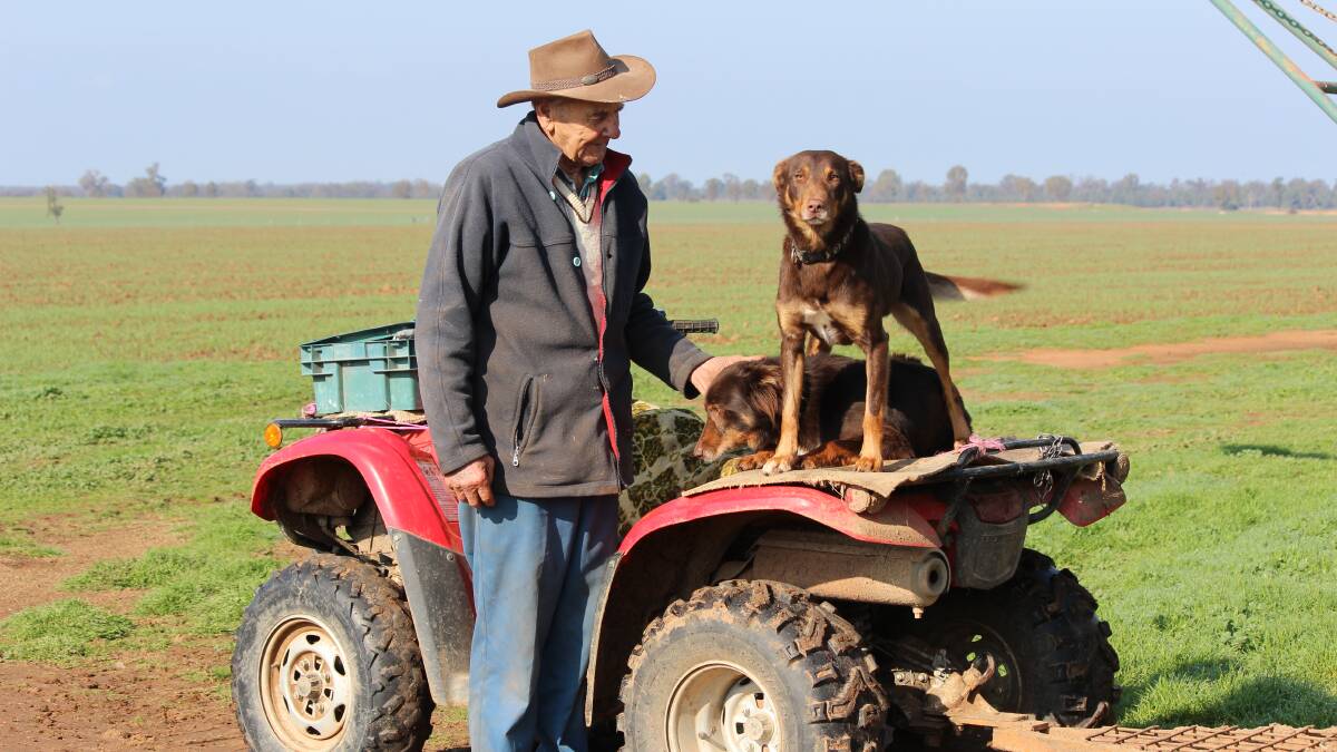 HOME SWEET HOME: Henry Hornbuckle with his two dogs "Buster" and "Woody" on their Narrandera property