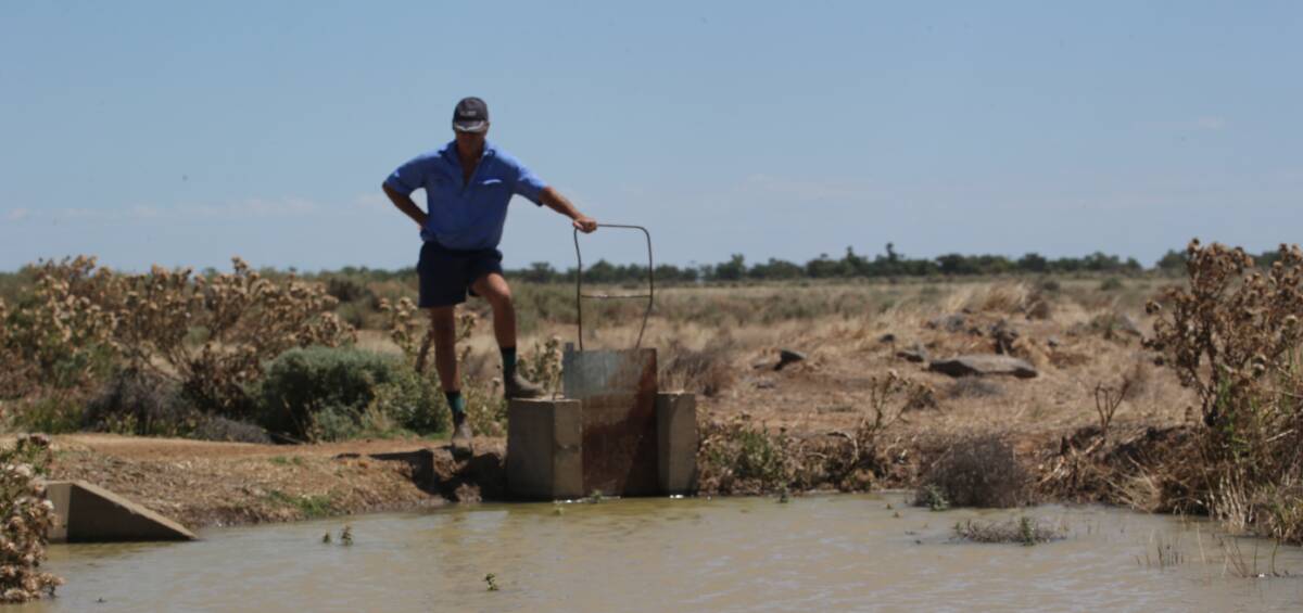 ALGAE WATER: MIA livestock farmer Don Low says farmers could be forced to use water laden with Blue-Green Algae. PHOTO: Anthony Stipo