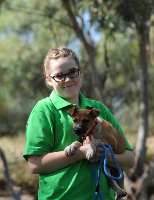 PLEASE HELP: One of Needy Paws' youngest volunteers, 15-year-old Jade Earl, with her own adopted puppy Zeus. The organisation is in desperate need of more volunteers. 