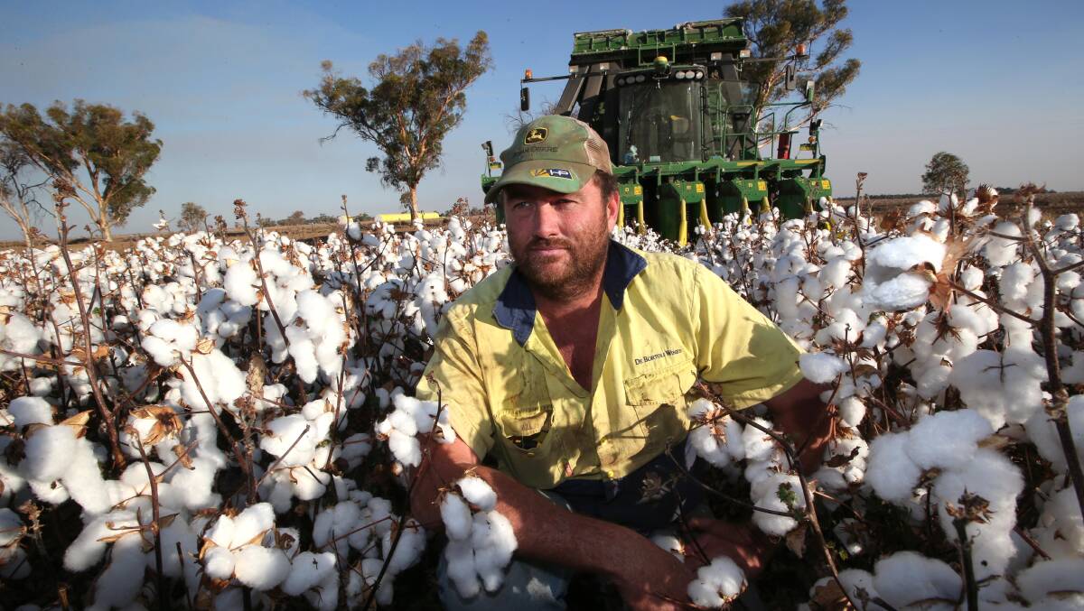 COTTON: Farmer Darrell Fiddler harvests a cotton crop at Clark's Farm. Picture: Anthony Stipo.