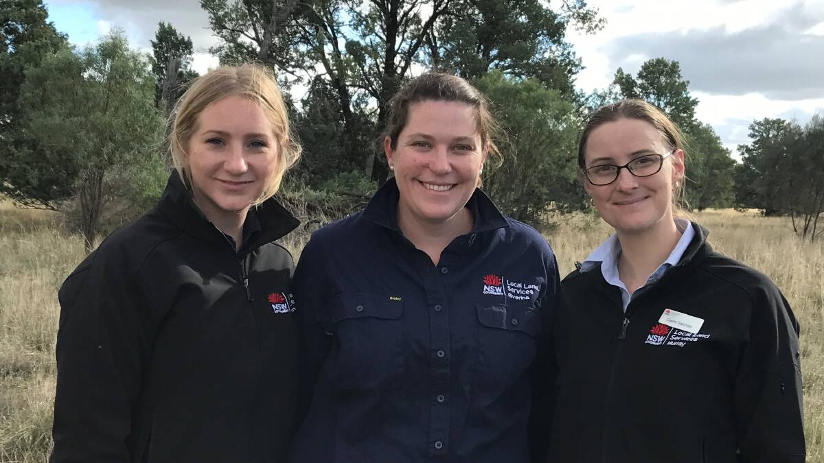 SAVING THE SPECIES: Cassandra Hooke, Megan Purvis and Claire Gannon are working to save the species that is on the way to extinction.