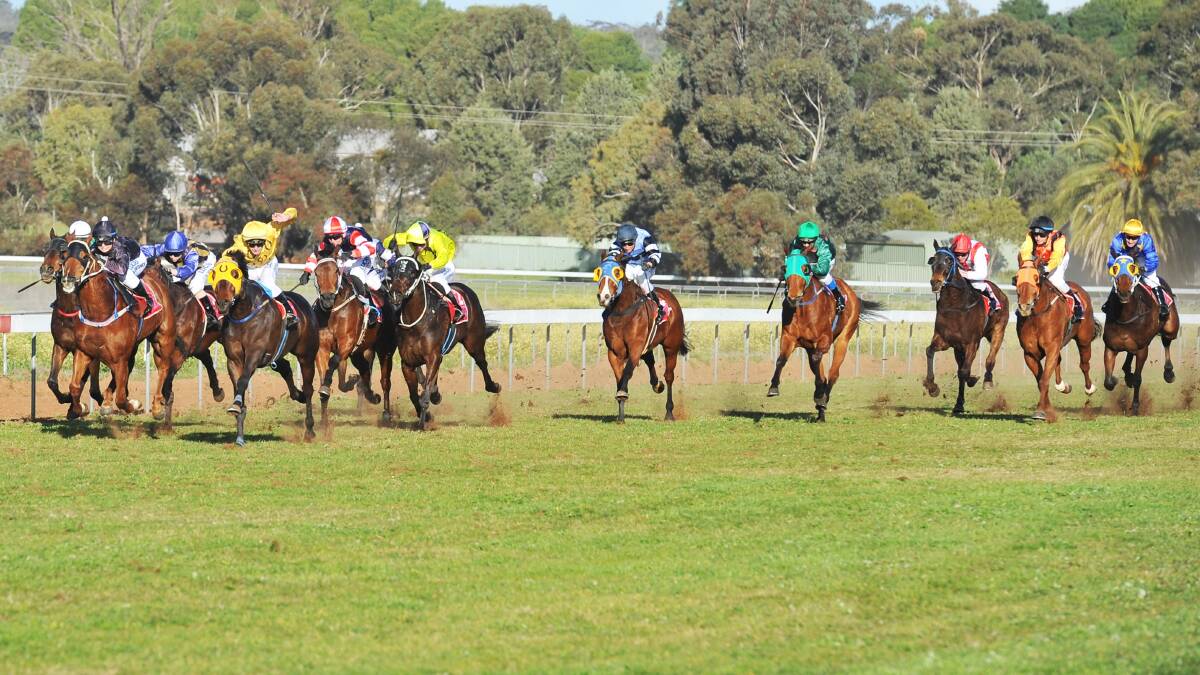 YEARS GONE BY: A big field contested the 2013 Narrandera Cup, that was won by Griffith galloper Sonro. 