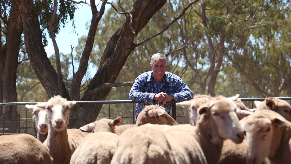AT THE TOP: “Griffith saleyards are up there with the other saleyards around the district,” sheep farmer Keith Cowen said. PHOTO: Anthony Stipo.