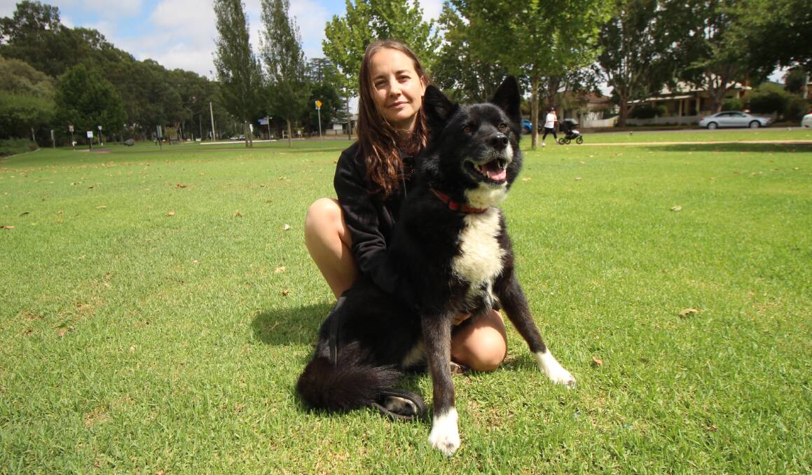 RESPONSIBILITY: Dog trainer Racheal Romeo says responsible pet ownership is key to preventing dog attacks, and places full culpability with the dogs' owners who failed to act before an woman was mauled. PHOTO: Jacinta Dickins