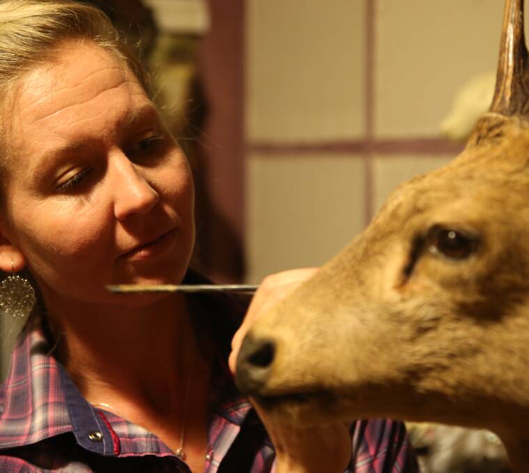 STEELY EYED: Cassandra Hall works on her hog deer. PHOTOS: Anthony Stipo