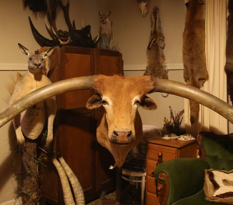 OVER SIZED: One of Cassandra Hall's works of art a long horn bull.