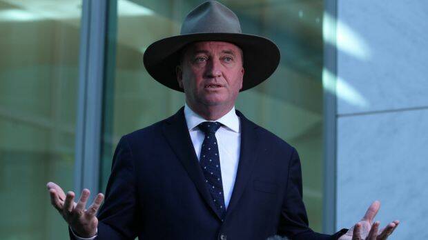 Deputy Prime Minister Barnaby Joyce. Photo: Andrew Meares
