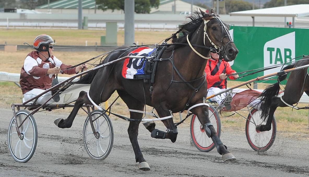 Badge Of Gameness will have his first start for Paul Kahlefeldt in the Griffith Cup on Saturday night.