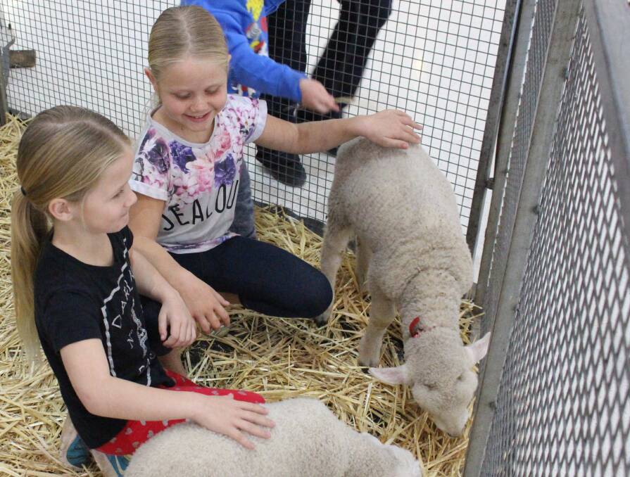 Brieanah, 7, and Annaliese, 9, Harris give the lambs some attention.