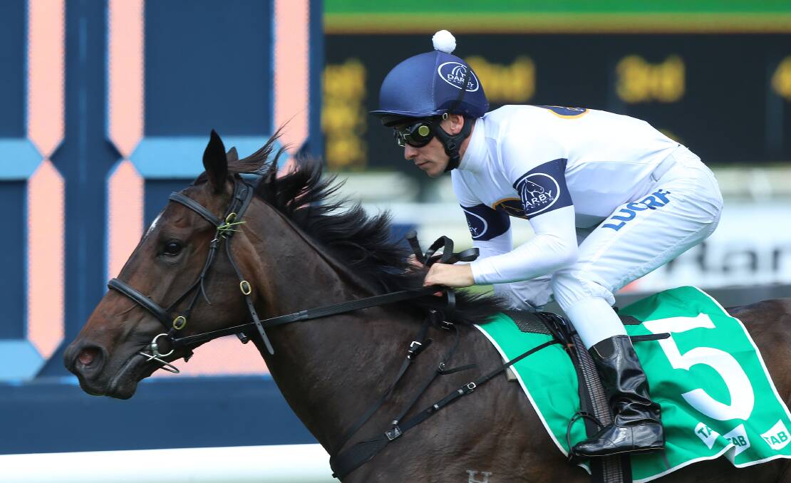 SPEEDY'S TIP: Michael Stratton likes She Will Reign, pictured being ridden by jockey Ben Melham in the Silver Slipper Stakes, in the Golden Slipper. PHOTO: Bradleyphotos.com.au