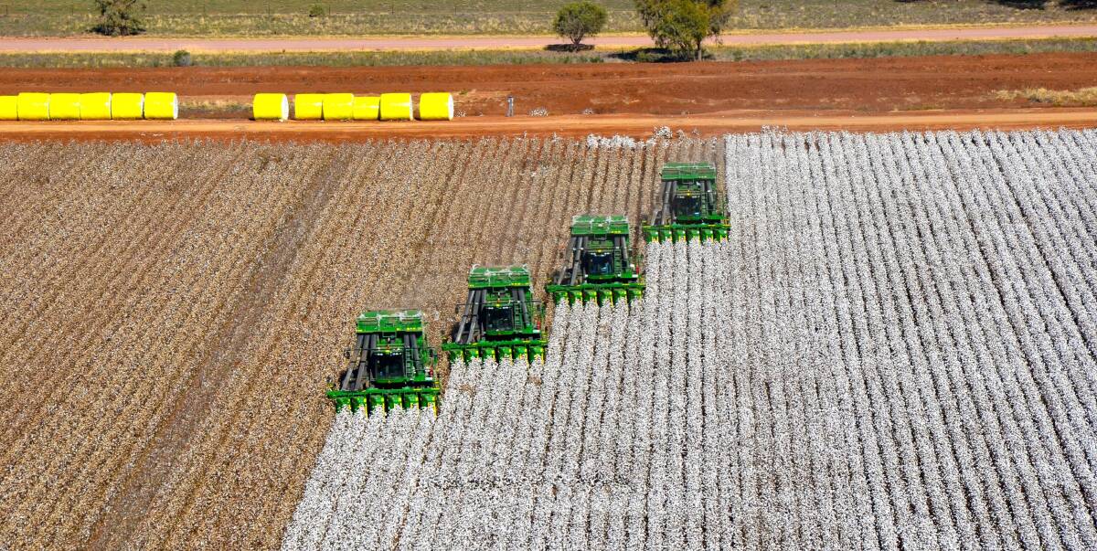 IMPRESSIVE RETURNS: An aerial shot of the cotton harvest at the Murrumbidgee Shire Community Demonstration Farm. Picture: Lynn Walsh.