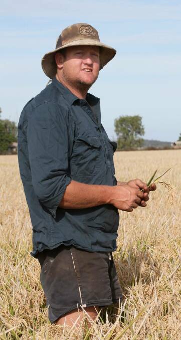 BRING IT ON: Rice farmer Chris Morshead PHOTO: Anthony Stipo