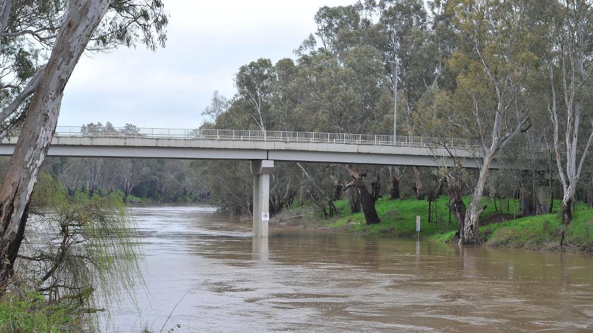 RISING WATER: The Murrumbidgee River at Wagga in flood on Saturday.
