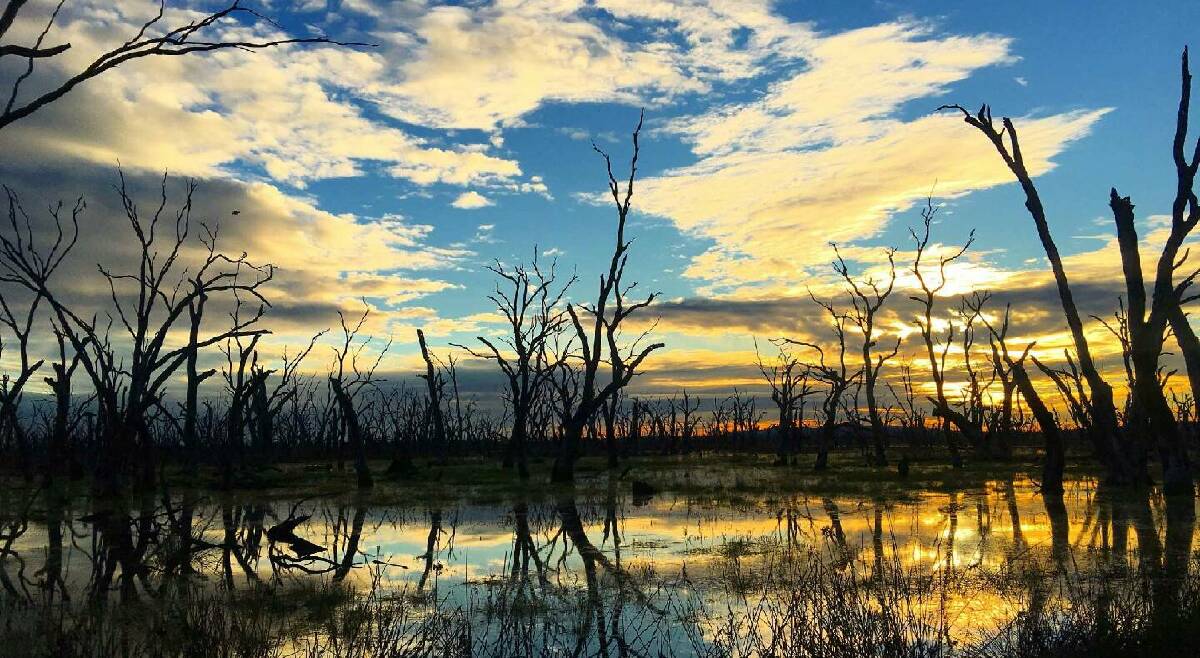 TWILIGHT: Water is beginning to flow back into the beautiful Winton Wetlands following heavy rainfall this winter. Picture: EMMA CRAMERI 