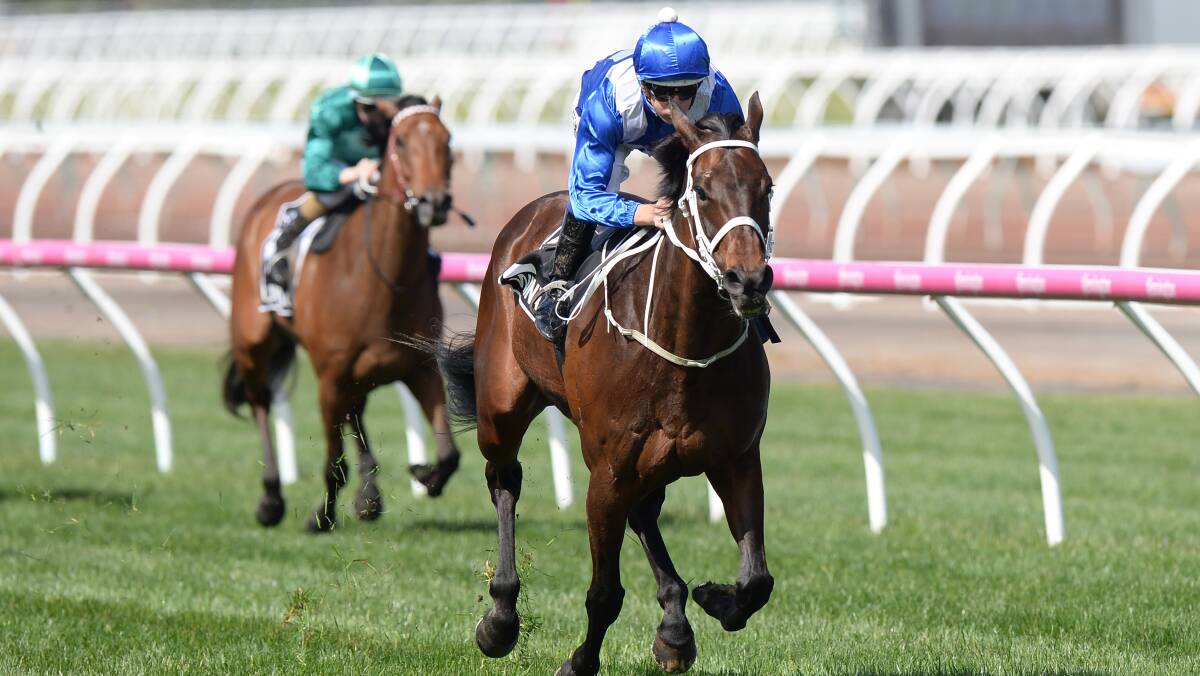 ANOTHER WIN: Winx took a step to matching Black Caviers record of 25 straight wins after taking out the Turnbull Stakes. PHOTO: AAP Image/Mal Fairclough