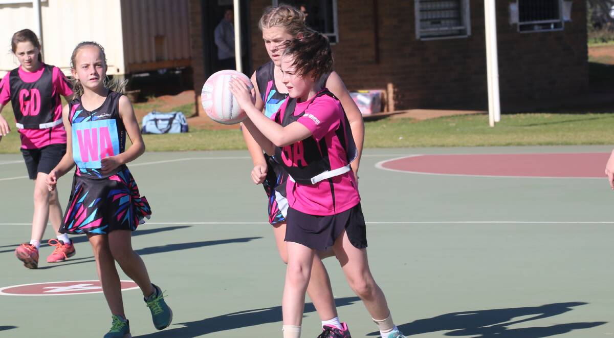 SEARCHING FOR A TEAMMATE: DeBortoli goal attack Beth Lockwood looks to get the ball moving during her under 12s match against R&R Gunn recently. PHOTO: Anthony Stipo