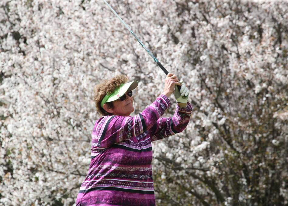 SPRINGTIME: Eleanor Hancock takes a shot surrounded by the blossoms at the Griffith Golf Club at the weekend. Picture: Anthony Stipo