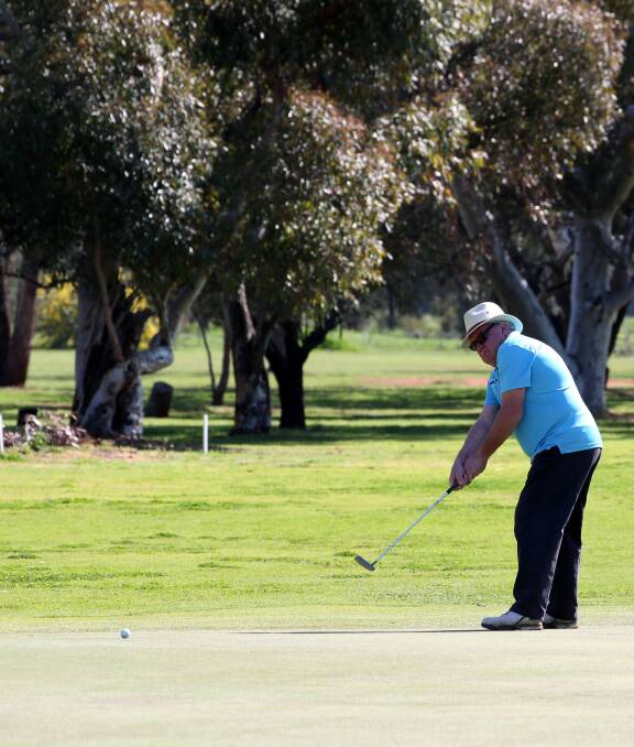 DAY ON THE GREEN: Keen golfer Peter Clark is a picture of concentration on the golf course. Picture: Anthony Stipo