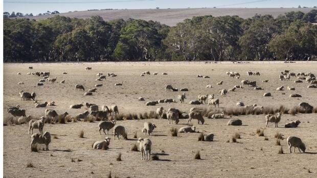Droughts are likely to get worse as the climate changes, climate scientists say. Photo: Simon_O'Dwyer.