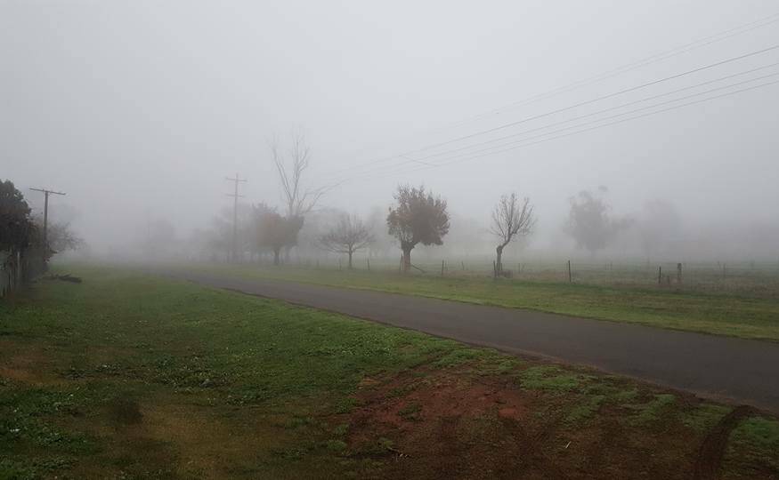 EERIE: Peta Curry grabbed this spooky shot Tuesday morning as fog took over the city.