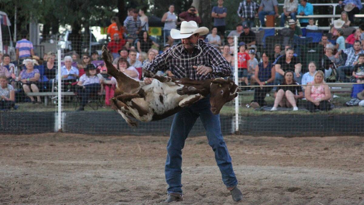 STRONG HAUL: Lee Kimber of Lockington Victoria roping a calf, later went to win the steer wrestling competition. Photo: Ron Arel