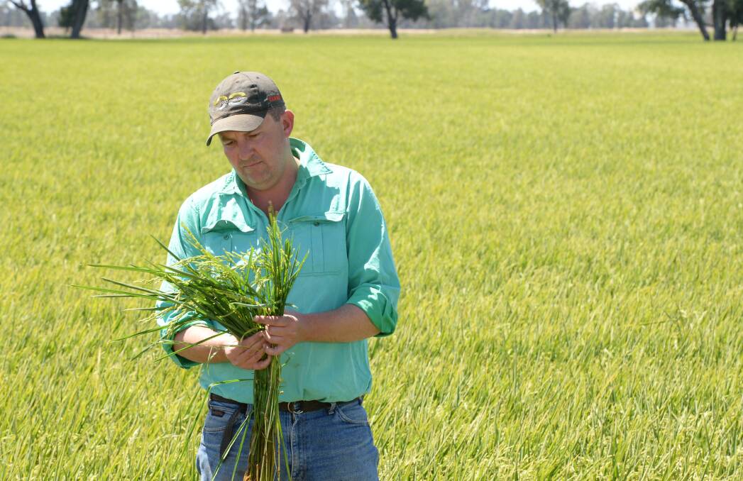 Reiziq ricegrower Rob Massina's enterprise spans the Murrumbidgee and Murray Valleys. He frequently needs to transfer water out of the Murrumbidgee to irrigate his cropping country on the Murray.