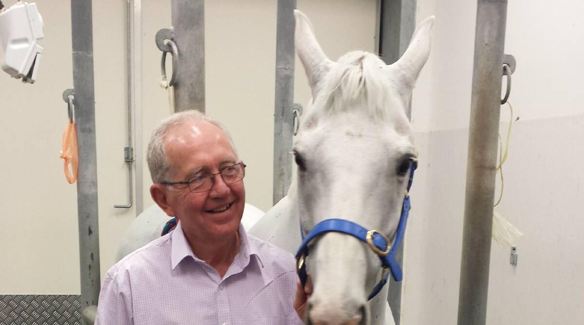 HORSE'S LIFE: Charles Sturt University’s Bryan Hilbert is undertaking a trial to seek out a therapeutic vaccine to treat melanoma in grey horses.