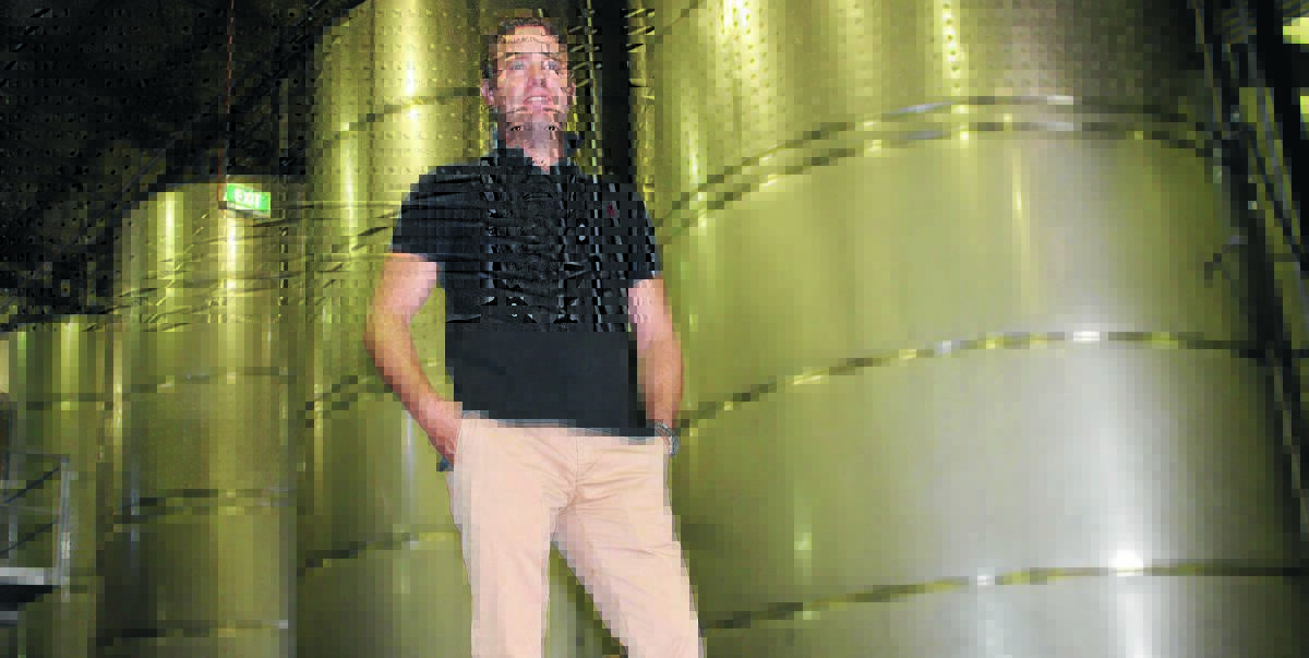STANDING TALL: Southern Estate Wines executive director Andrew Dal Broi says he is looking to tap into international markets empowered by the Walla Avenue winery. Picture: Brodie Owen
