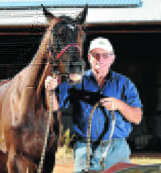 CHANCE: Brian McKelvie with Modern Max. Picture: The Daily Advertsier