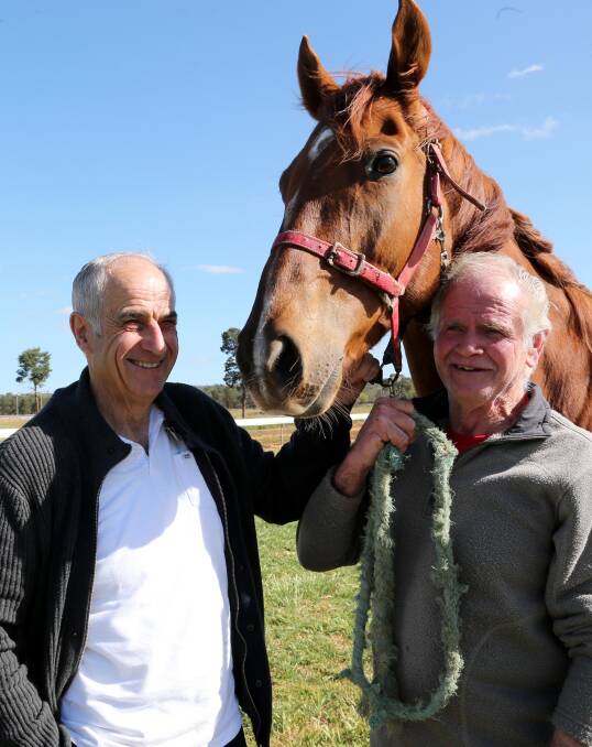 CUP HOPE: Griffith trainer Gino D'Altorio (left) and Eric Heaton with Devious Fella. Picture: Anthony Stipo