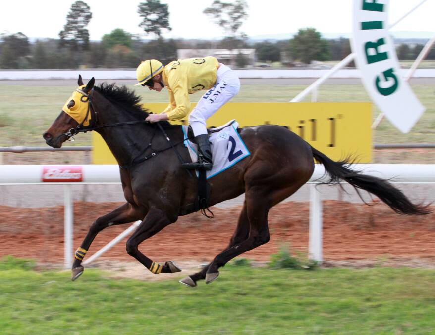 CHAMPION: Sonro crosses first in the 2013 Griffith Cup. Picture: Anthony Stipo