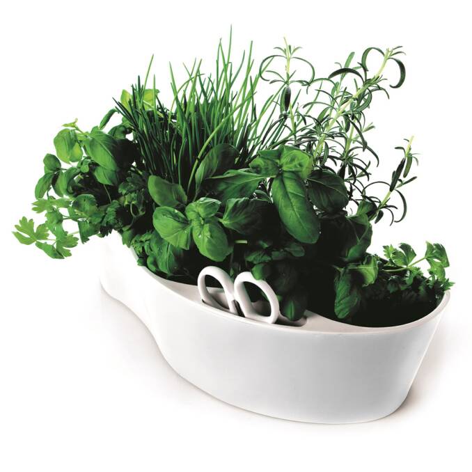 Centerpiece: This herb planter works on a windowsill or as a centerpiece on your table filled with herbs for immediate use. Available at hardtofind.com.au