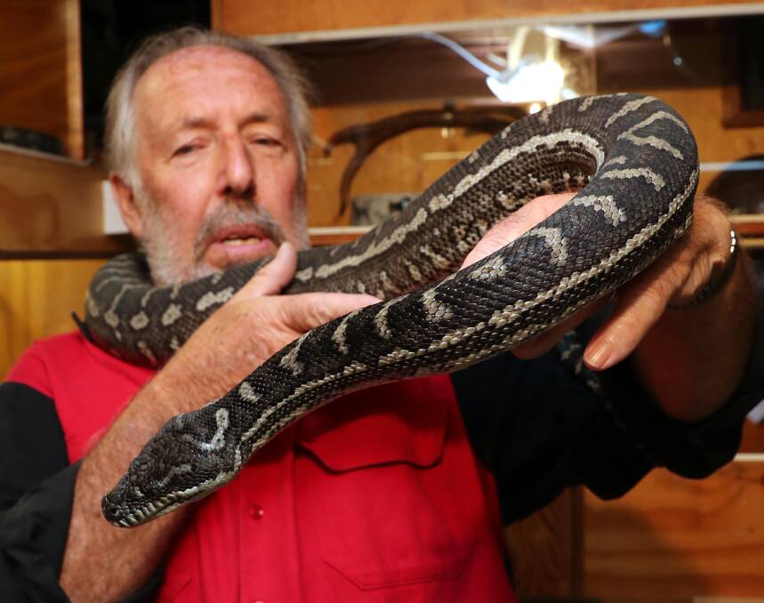 JOE BLAKE: Wagga snake expert Tony Davis, who has been keeping snakes for two decades, with a python. Pictures: Les Smith