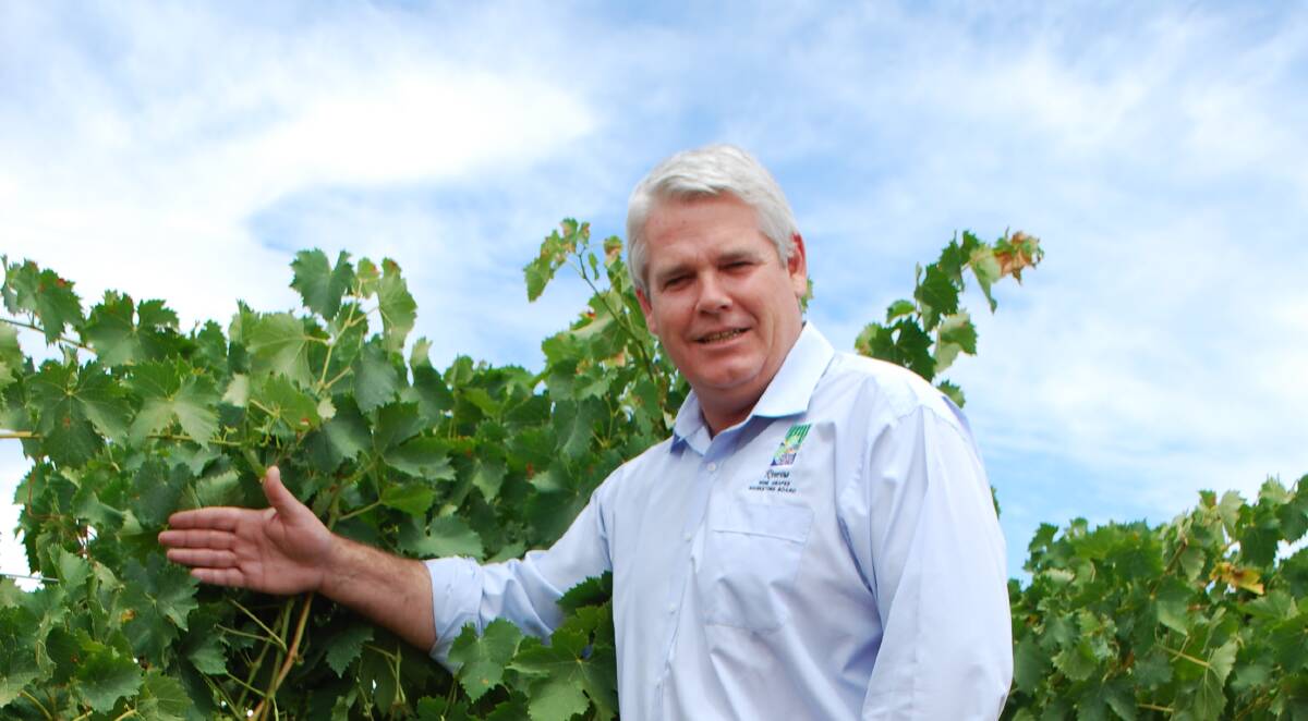 NUMBER OF FACTORS: Brian Simpson points out there are a number of reasons grape growers are struggling.