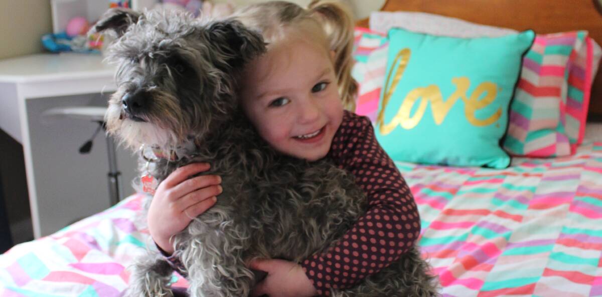 BEST FRIENDS: Three-year-old Audrey cuddles her furry friend Angie, who was rescued thanks to Needy Paws Dog Rescue. Picture: Stephen Mudd.