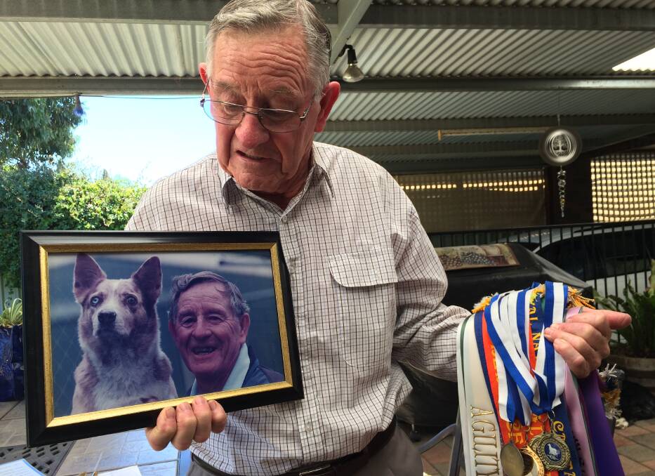 MEMORIES: Barry McDonald remembers kelpie-cross Patch, the first dog he trained. Patch was a finalist for agility dog of the year five years in a row during the 90s. 