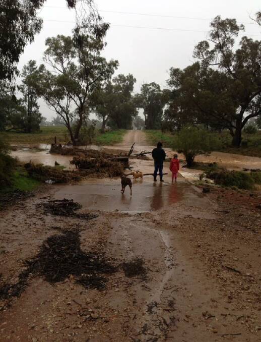 FLOODING: Water across a track at Tallimba, a scene repeated across the area. Picture: Bland Shire Council