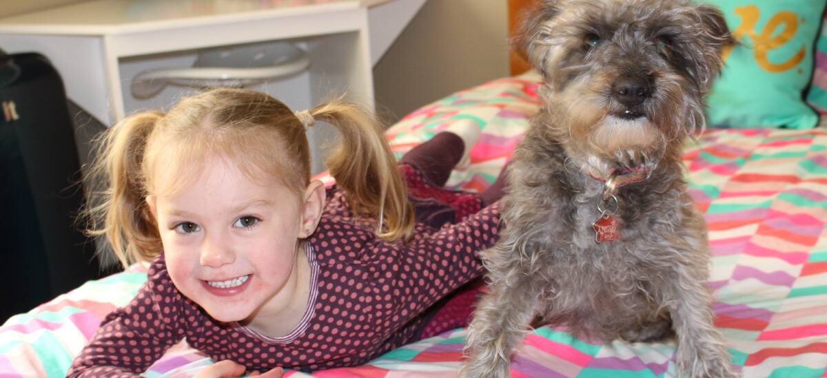 PUPPY LOVE: Three-year-old Audrey loves playing with poodle-cross Angie, a rescue dog from Needy Paws. Picture: Stephen Mudd.