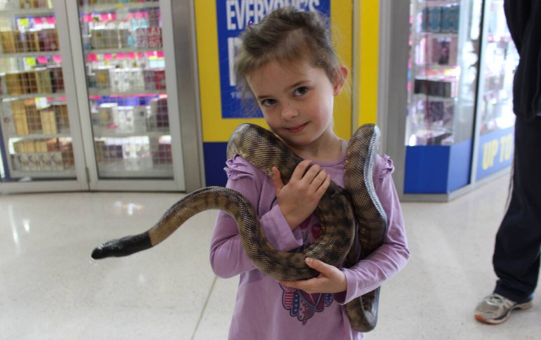 Kyla Keen, 4, was excited to hold the snake, having previously handled them at pre-school.