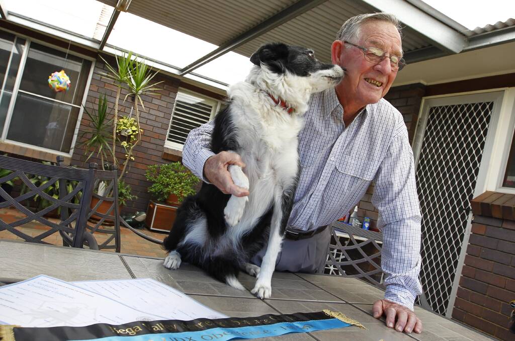 GRAND CHAMPION: Tatiana the border collie gives Barry McDonald a kiss on the cheek after she was named the Riverina's first grand obedience champion. Picture: Les Smith.