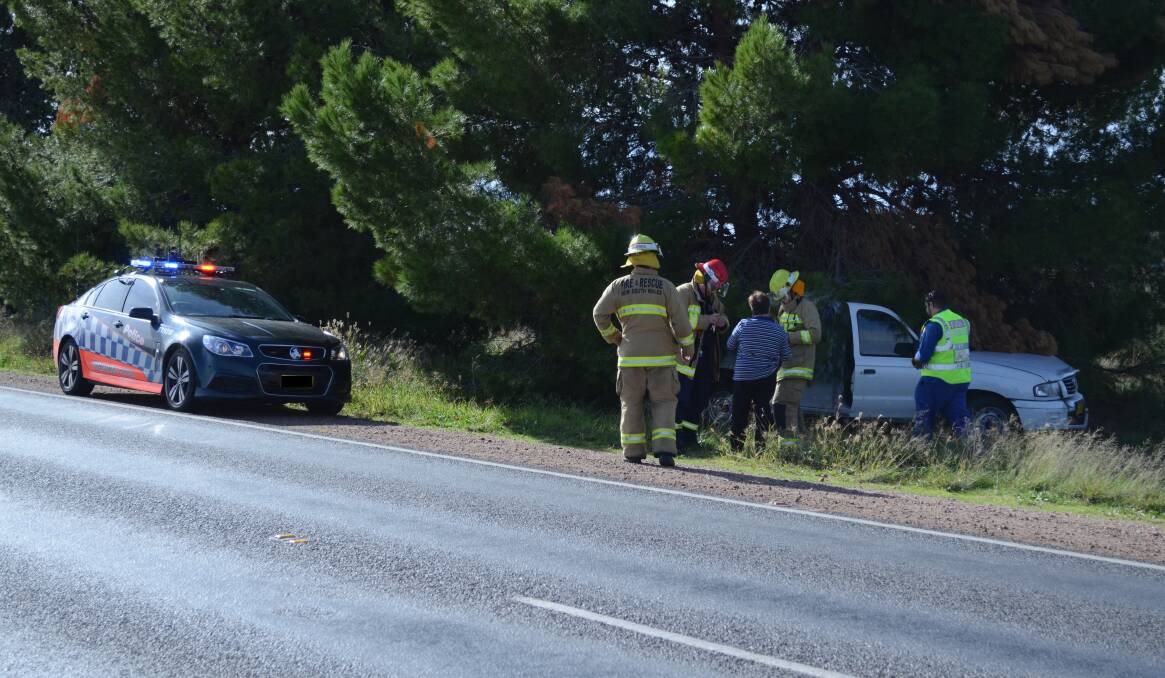 CRASH: The ute, which collided with trees after leaving Kidman Way. Picture: Stephen Mudd.
