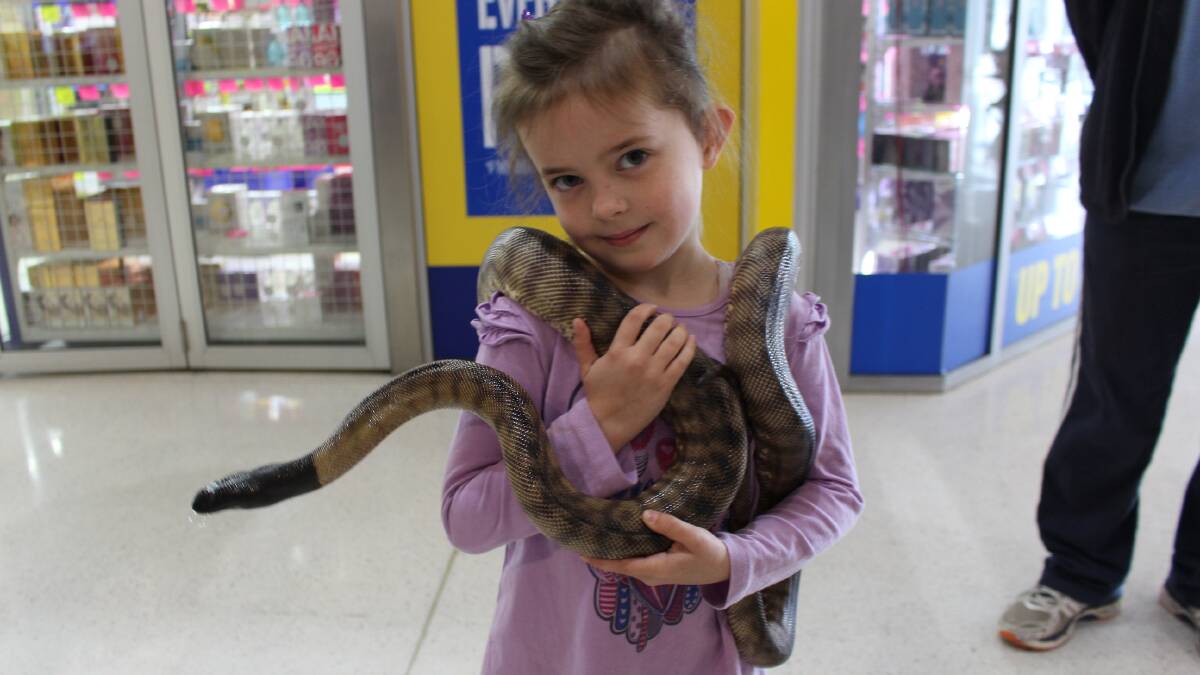 Kids have been getting hands on with some fierce creatures down at Griffith Central during the school holidays. 