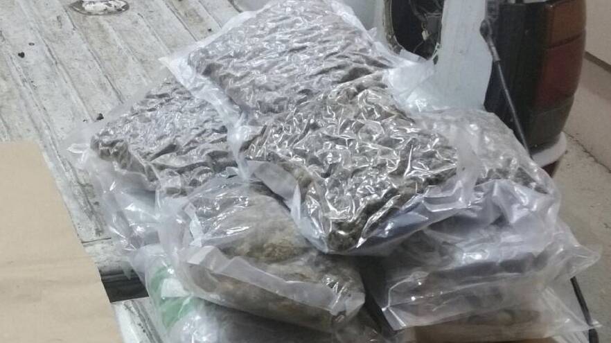 The seized cannabis. Picture: NSW Police.