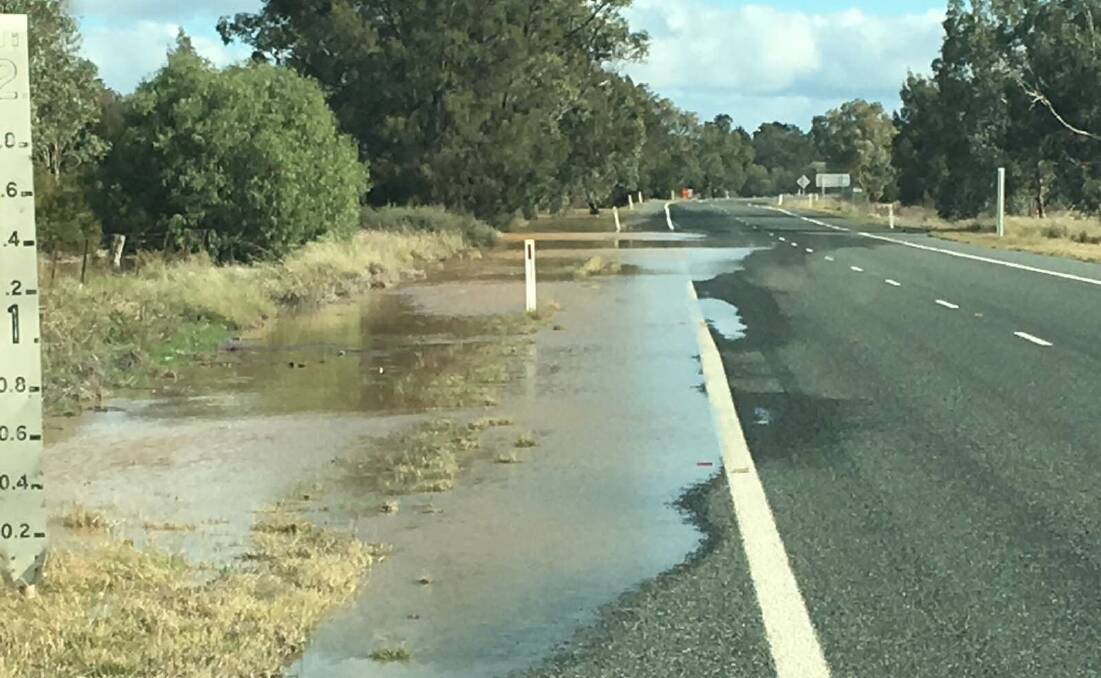 Elton Campbell sent us this photo of water on the road near West Wyalong on Thursday. Send your pictures to editor@areanews.com.au