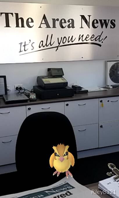 Journalist Riley Krause went on a Pokemon hunt in our office and caught a wild Pidgey! Send us your pictures.