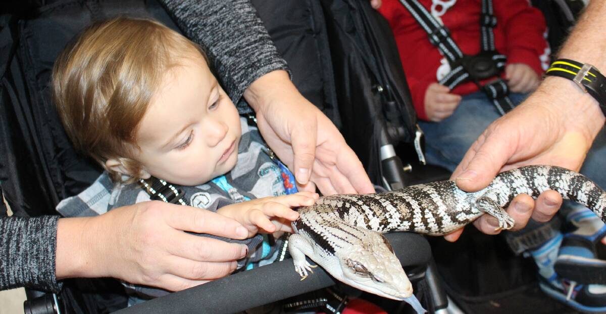 Jake Brennick, 1, gets up close with the blue tongue lizard.