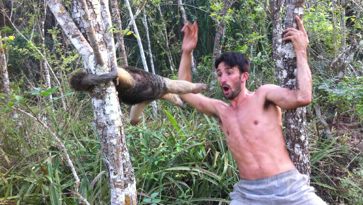 Ucles set out to find "animals that don't get airtime". He captured encounters with 22 animals, including the sloth during his nine-month journey into the Peruvian and Bolivian Amazon. Photo: supplied