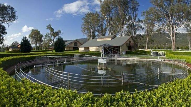 The farm has everything a horse lover could want, including horse walkers and all-weather tracks. Photo: LJ Hooker